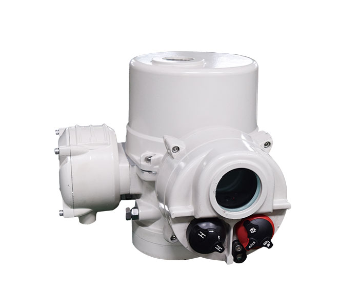 電動執(zhí)行機構原理